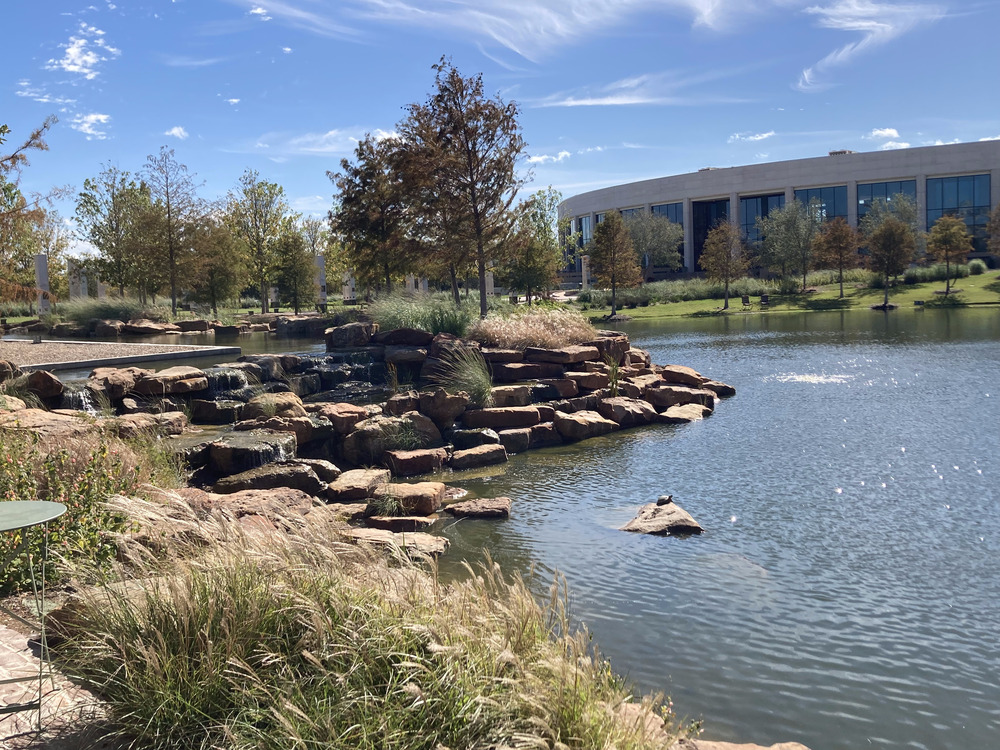 A pond with a waterfall on the left. There is a rock near the waterfall on which a turtle proudly sits.