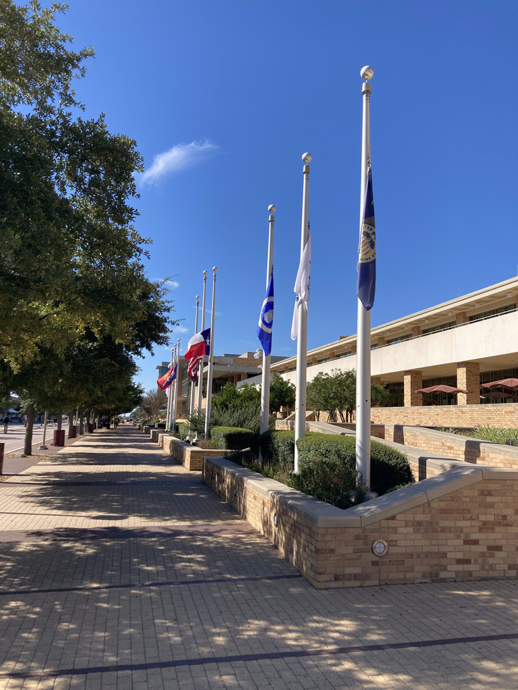 Nine different flags, all half mast, receding away from the viewer.